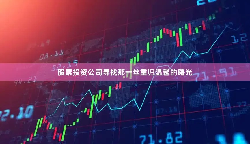 股票投资公司寻找那一丝重归温馨的曙光