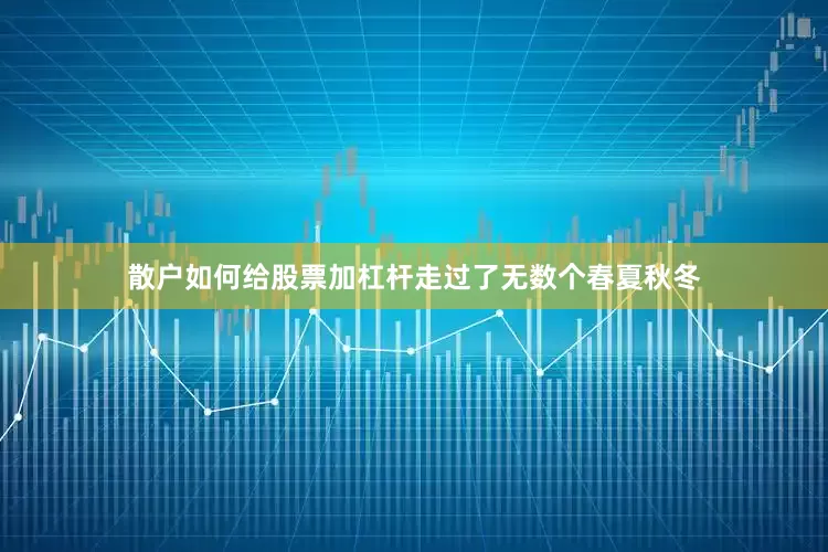 散户如何给股票加杠杆走过了无数个春夏秋冬